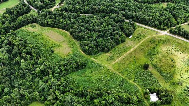 47 Overlook Point Rd, Lobelville, TN 37097