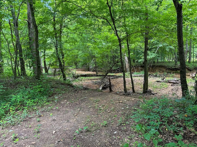 47 Overlook Point Rd, Lobelville, TN 37097