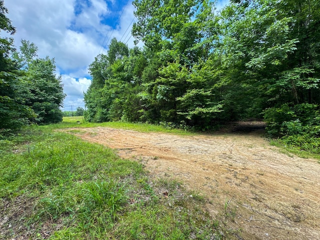 47 Overlook Point Rd, Lobelville, TN 37097