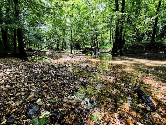 47 Overlook Point Rd, Lobelville, TN 37097