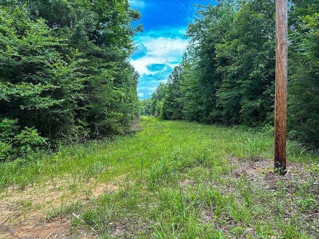 47 Overlook Point Rd, Lobelville, TN 37097