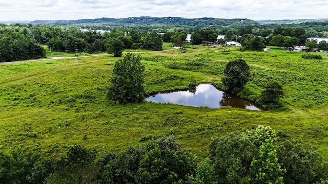 47 Overlook Point Rd, Lobelville, TN 37097