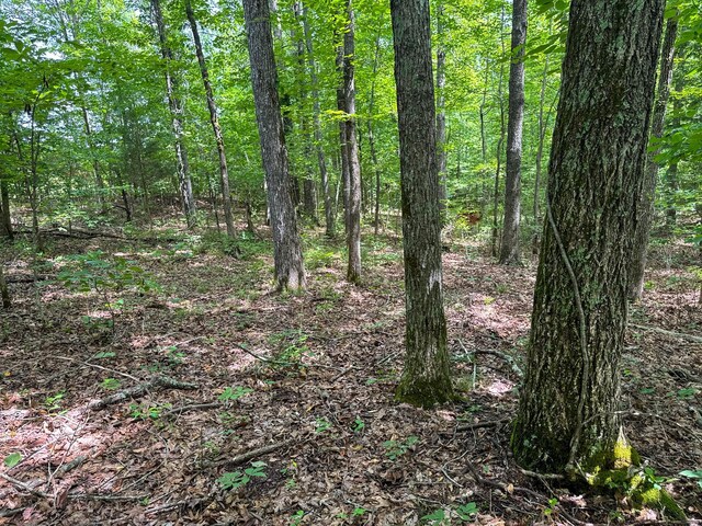 47 Overlook Point Rd, Lobelville, TN 37097