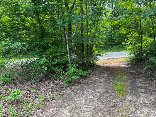 47 Overlook Point Rd, Lobelville, TN 37097