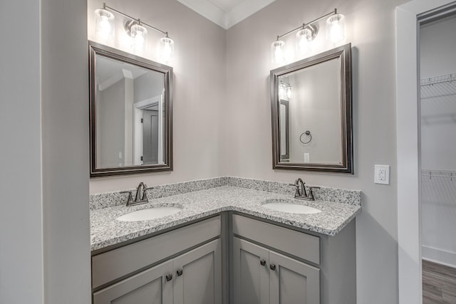 528 Haviture Way, Murfreesboro, TN 37129 - full bathroom with double vanity, a walk in closet, and wood finished floors