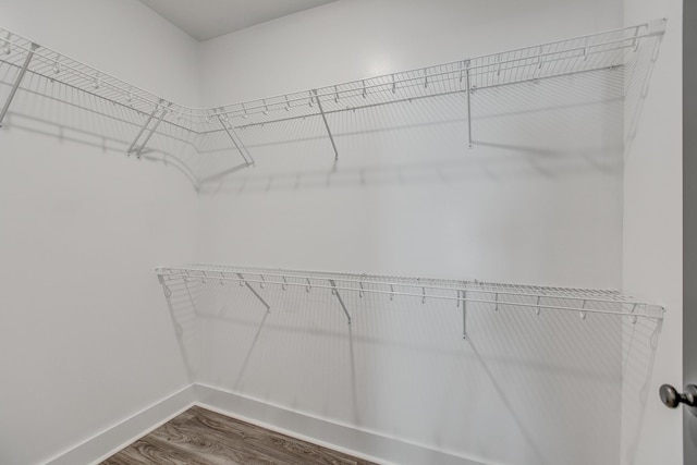 528 Haviture Way, Murfreesboro, TN 37129 - walk in closet with dark wood-type flooring