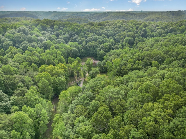 5141 Tranham Rd, Whites Creek, TN 37189 - bird's eye view of a heavily wooded area