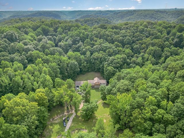 5141 Tranham Rd, Whites Creek, TN 37189 - view of subject property with a forest