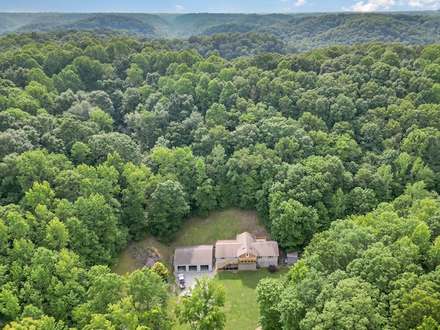5141 Tranham Rd, Whites Creek, TN 37189 - view of subject property featuring a heavily wooded area