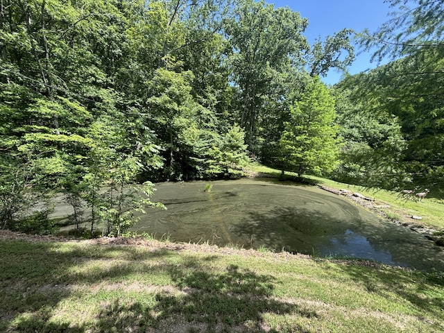 5141 Tranham Rd, Whites Creek, TN 37189 - photo 56