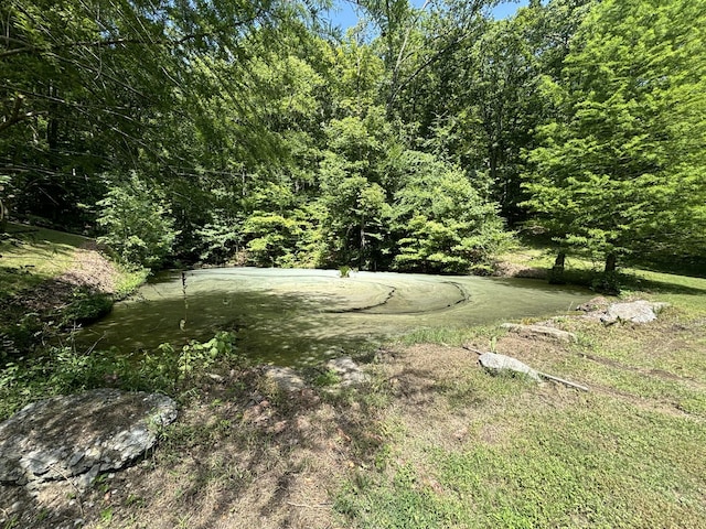 5141 Tranham Rd, Whites Creek, TN 37189 - photo 57