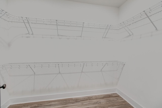 524 Haviture Way, Murfreesboro, TN 37129 - walk in closet featuring wood finished floors