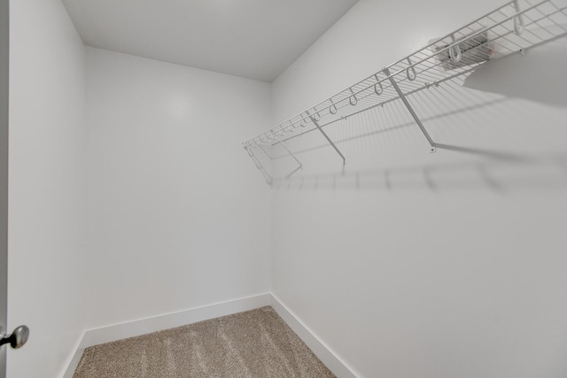 514 Haviture Way, Murfreesboro, TN 37129 - spacious closet featuring carpet