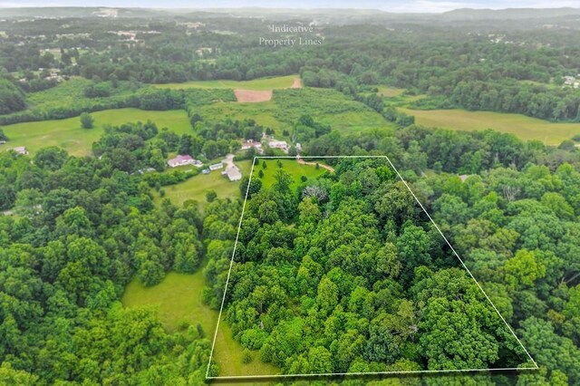 0 Golden Herren Rd, Sparta, TN 38583 - photo 5