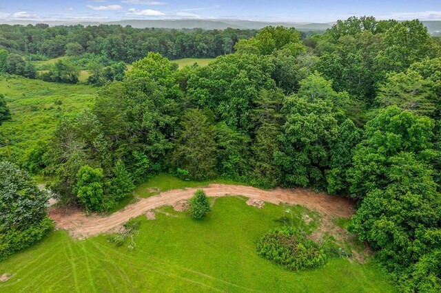 0 Golden Herren Rd, Sparta, TN 38583 - photo 3