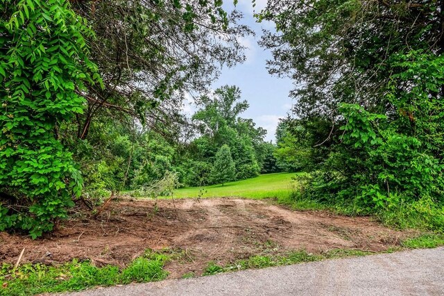 0 Golden Herren Rd, Sparta, TN 38583 - photo 14