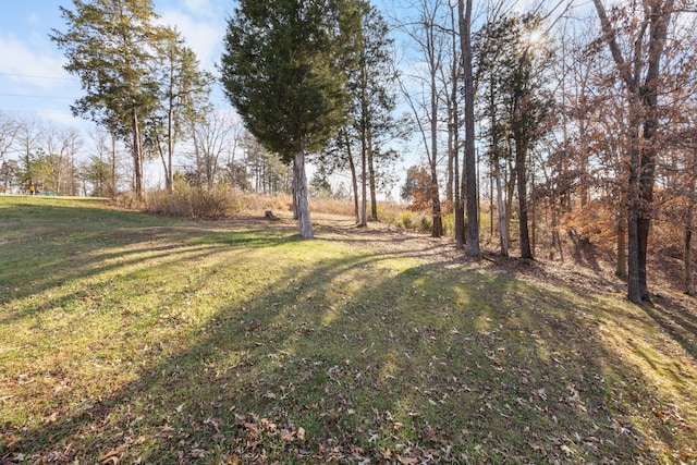 2276 Yeager Dr, Clarksville, TN 37040 - view of green lawn