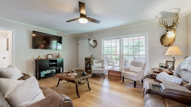 400 Westland Dr, Lebanon, TN 37087 - living room with ceiling fan, light wood finished floors, and crown molding