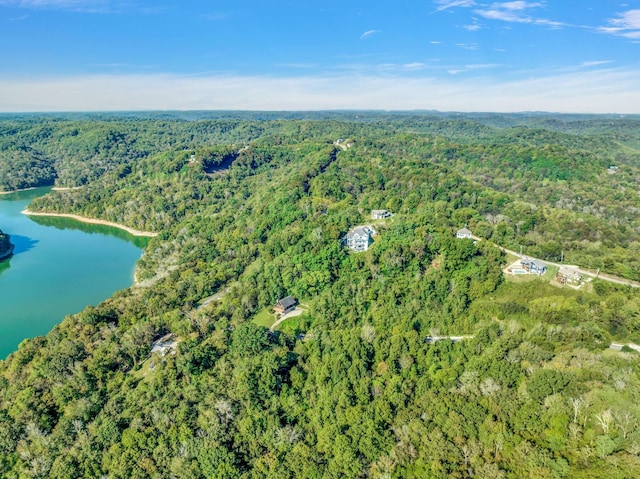 0 Bella Grace Dr, Smithville, TN 37166