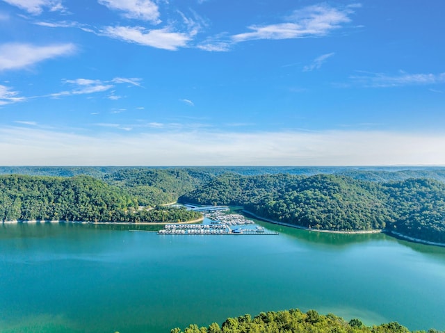 0 Bella Grace Dr, Smithville, TN 37166