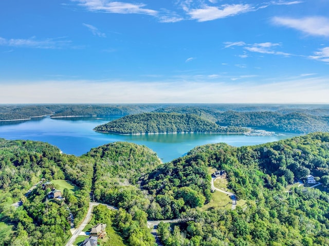 0 Bella Grace Dr, Smithville, TN 37166