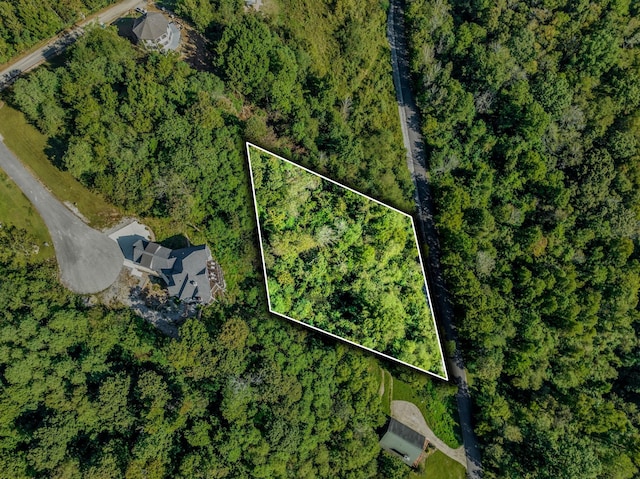 0 Bella Grace Dr, Smithville, TN 37166