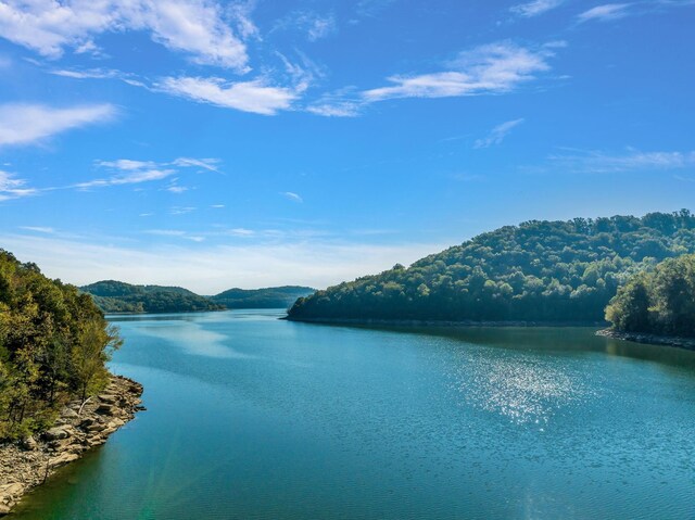 0 Bella Grace Dr, Smithville, TN 37166