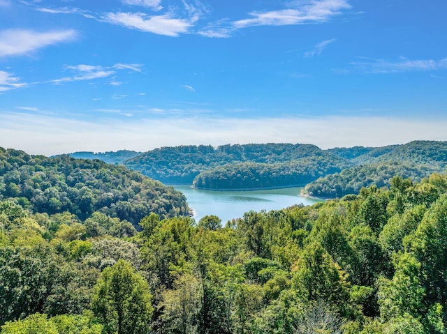 0 Bella Grace Dr, Smithville, TN 37166
