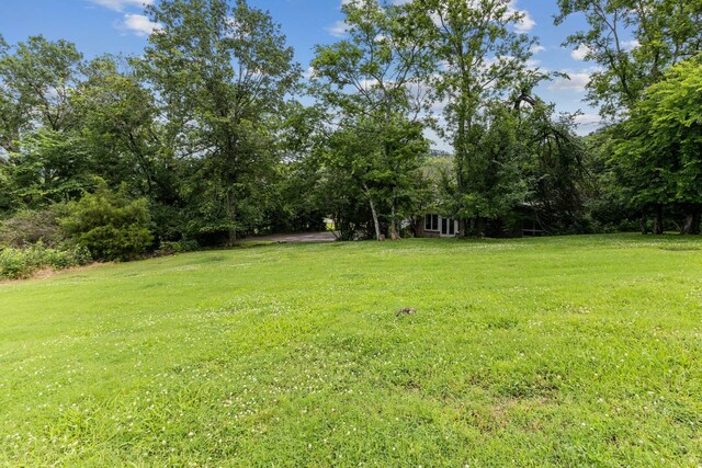 824 Forest Hills Dr, Nashville, TN 37220 - photo 12
