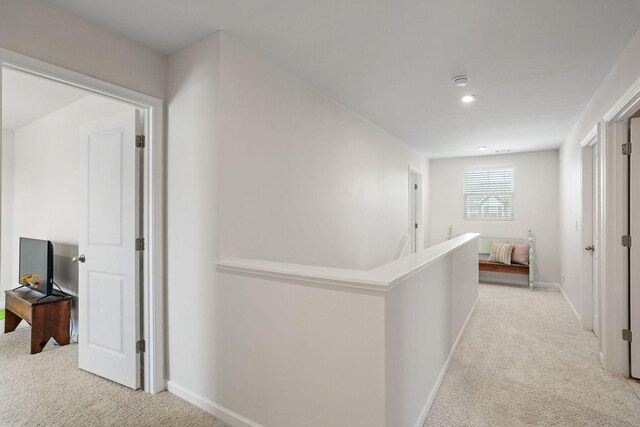 2421 Solomon Ln, Nashville, TN 37207 - photo 17