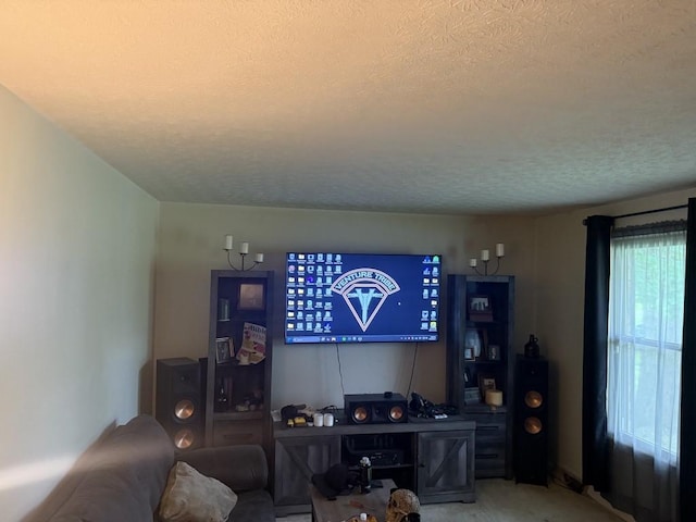 2503 Hickory Dr, Springfield, TN 37172 - living area featuring a textured ceiling
