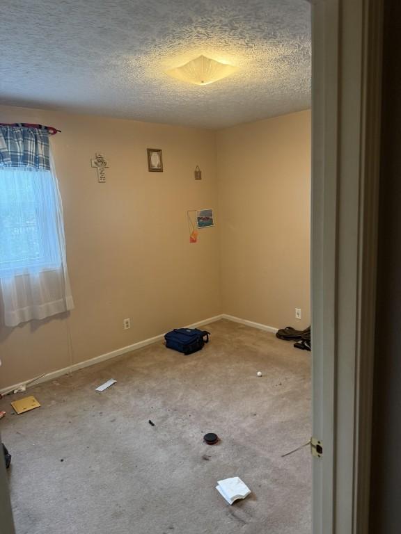 2503 Hickory Dr, Springfield, TN 37172 - empty room with a textured ceiling and carpet