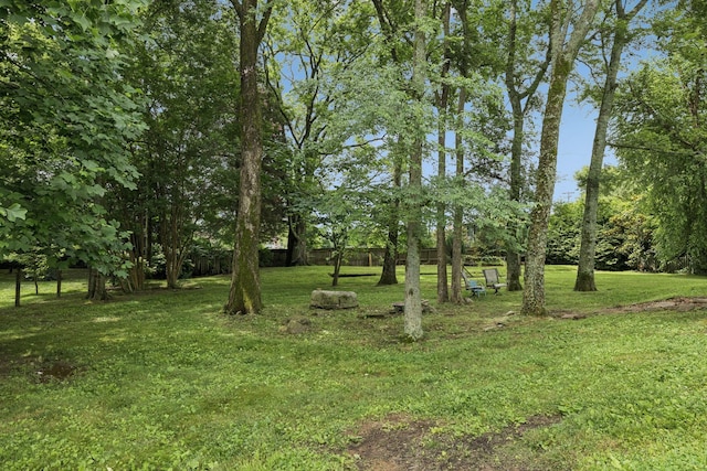 4012 Amber Way, Spring Hill, TN 37174 - view of grassy yard