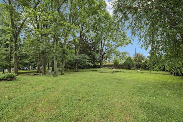 4012 Amber Way, Spring Hill, TN 37174 - view of green lawn