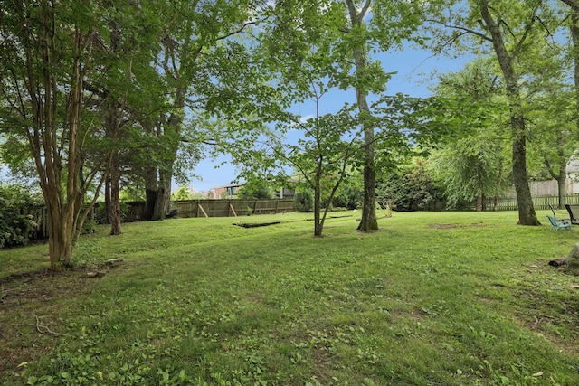 4012 Amber Way, Spring Hill, TN 37174 - view of fenced backyard