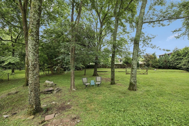 4012 Amber Way, Spring Hill, TN 37174 - view of grassy yard