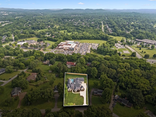 8211 Halford Pl, Brentwood, TN 37027 - photo 90
