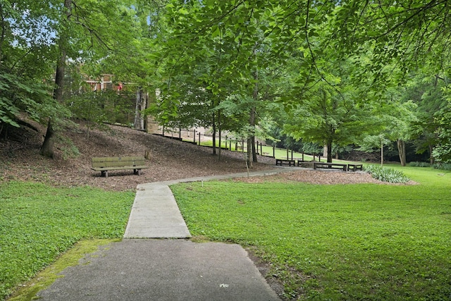 8211 Halford Pl, Brentwood, TN 37027 - photo 94