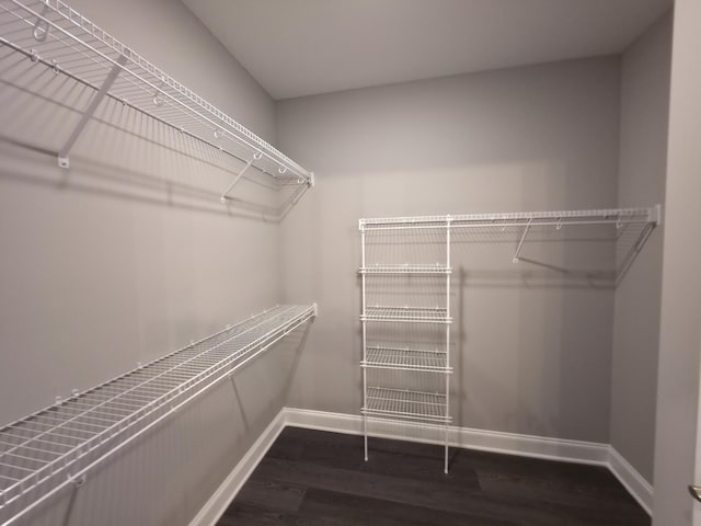 280 Turkey Crossing Ct, Clarksville, TN 37043 - spacious closet with wood finished floors