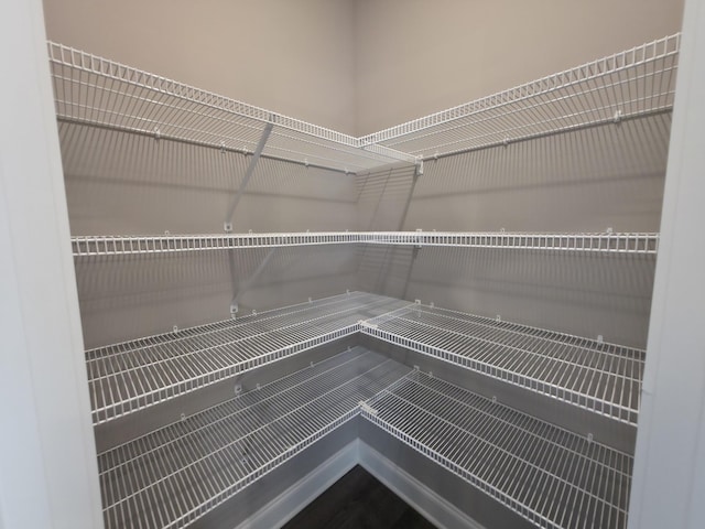 280 Turkey Crossing Ct, Clarksville, TN 37043 - view of pantry