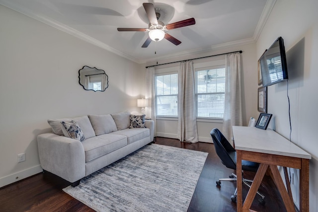 4704B Michigan Ave, Nashville, TN 37209 - office featuring ceiling fan, crown molding, and dark wood finished floors