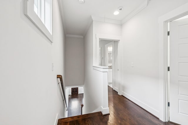 4704B Michigan Ave, Nashville, TN 37209 - hallway featuring an upstairs landing, crown molding, and dark wood-style flooring