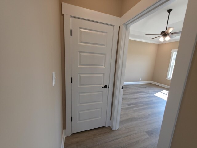 286 Turkey Crossing Ct, Clarksville, TN 37043 - hallway with wood finished floors and ornamental molding