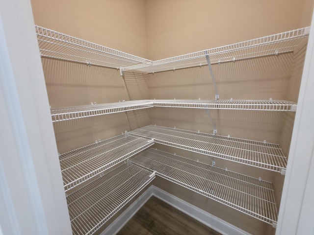286 Turkey Crossing Ct, Clarksville, TN 37043 - view of pantry