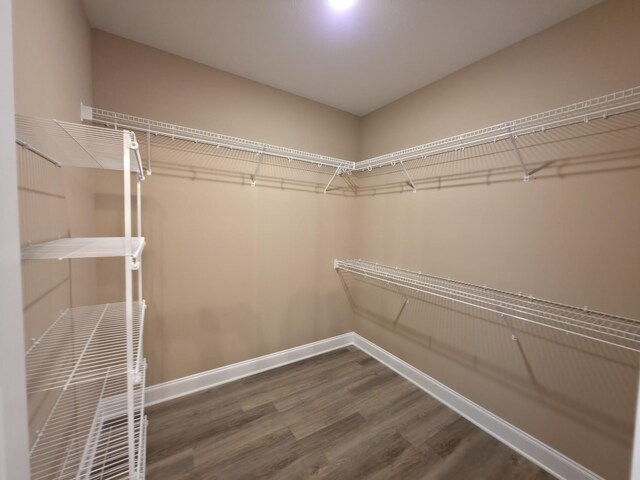 286 Turkey Crossing Ct, Clarksville, TN 37043 - walk in closet featuring wood finished floors