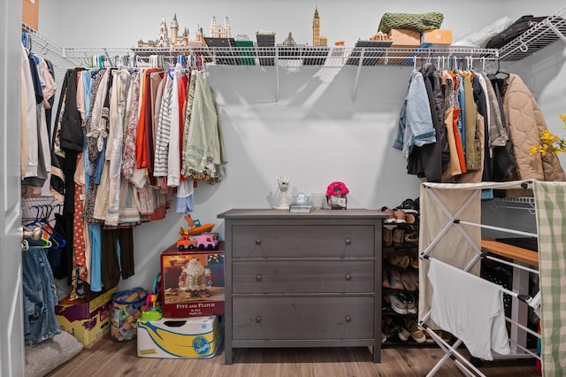 9407 Hackberry Ln, Soddy Daisy, TN 37379 - walk in closet featuring wood finished floors