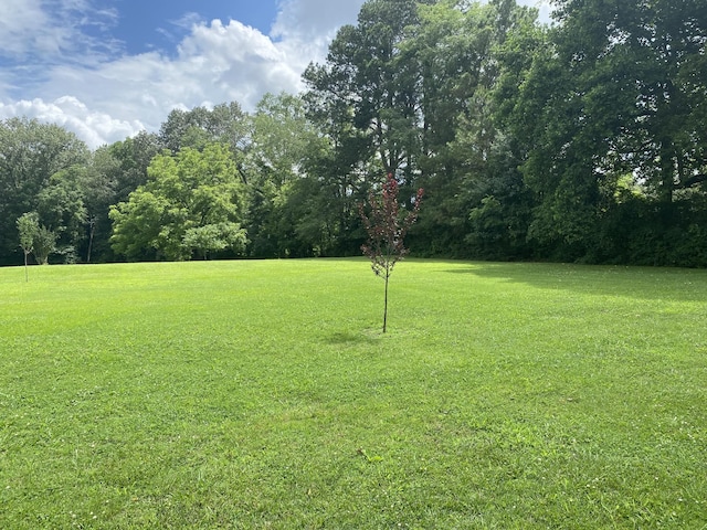 116 Chestnut St S, Bruceton, TN 38317 - photo 25
