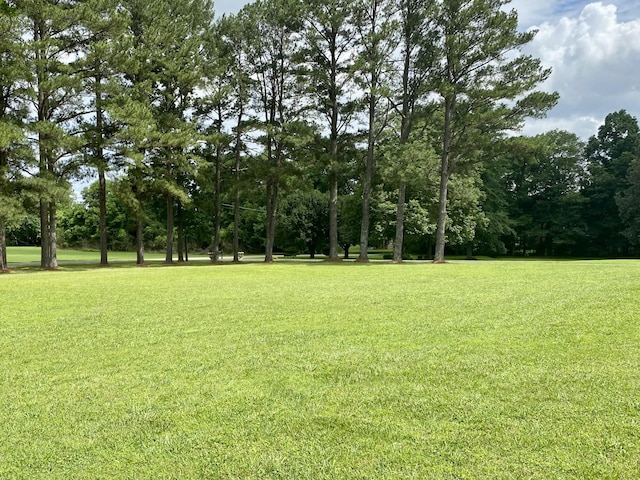 116 Chestnut St S, Bruceton, TN 38317 - photo 23