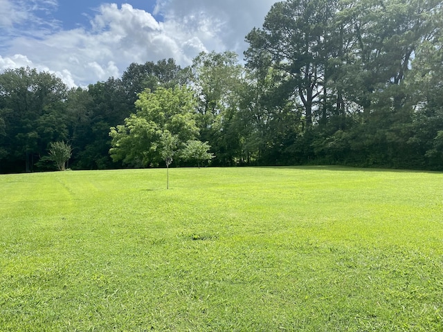 116 Chestnut St S, Bruceton, TN 38317 - photo 26