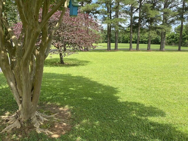 116 Chestnut St S, Bruceton, TN 38317 - photo 22